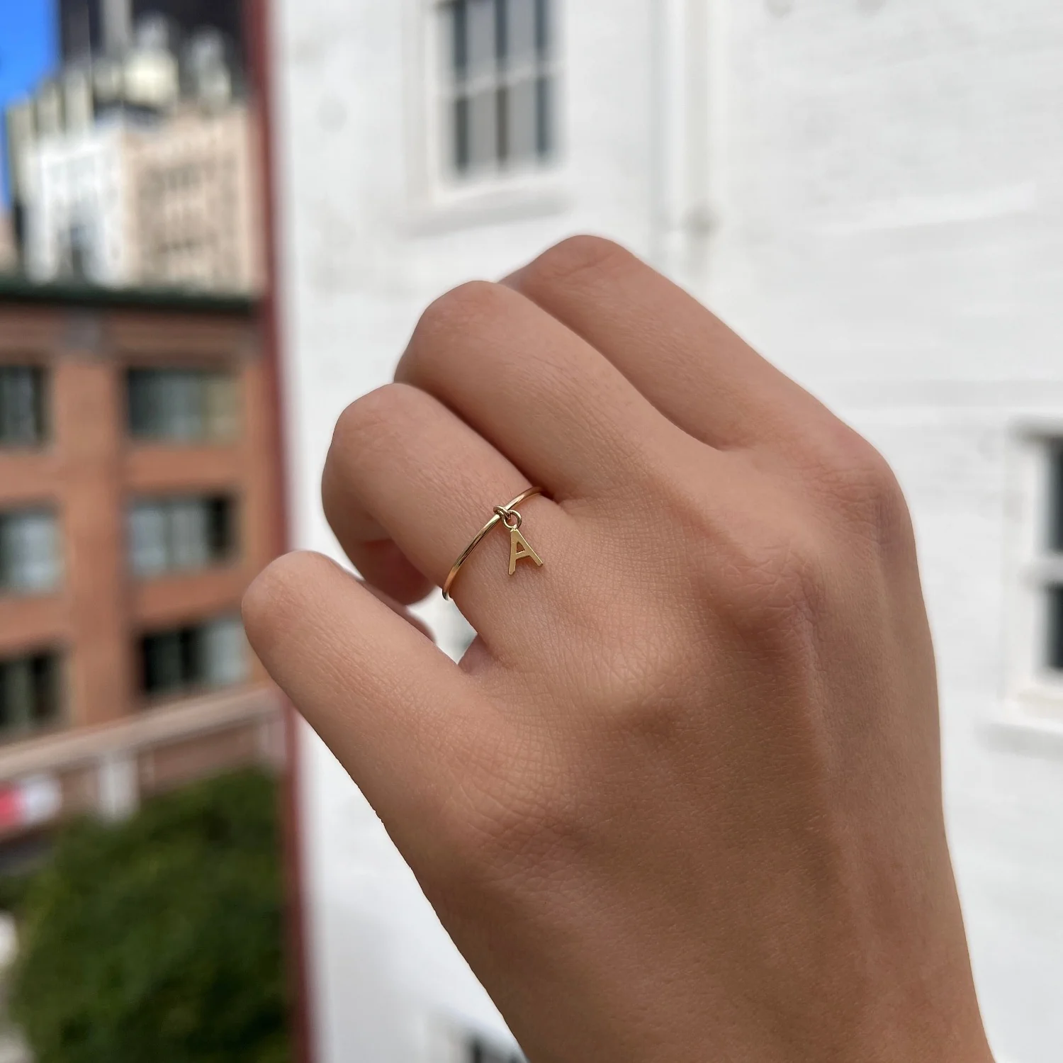 Initial Drop Ring - Image 8
