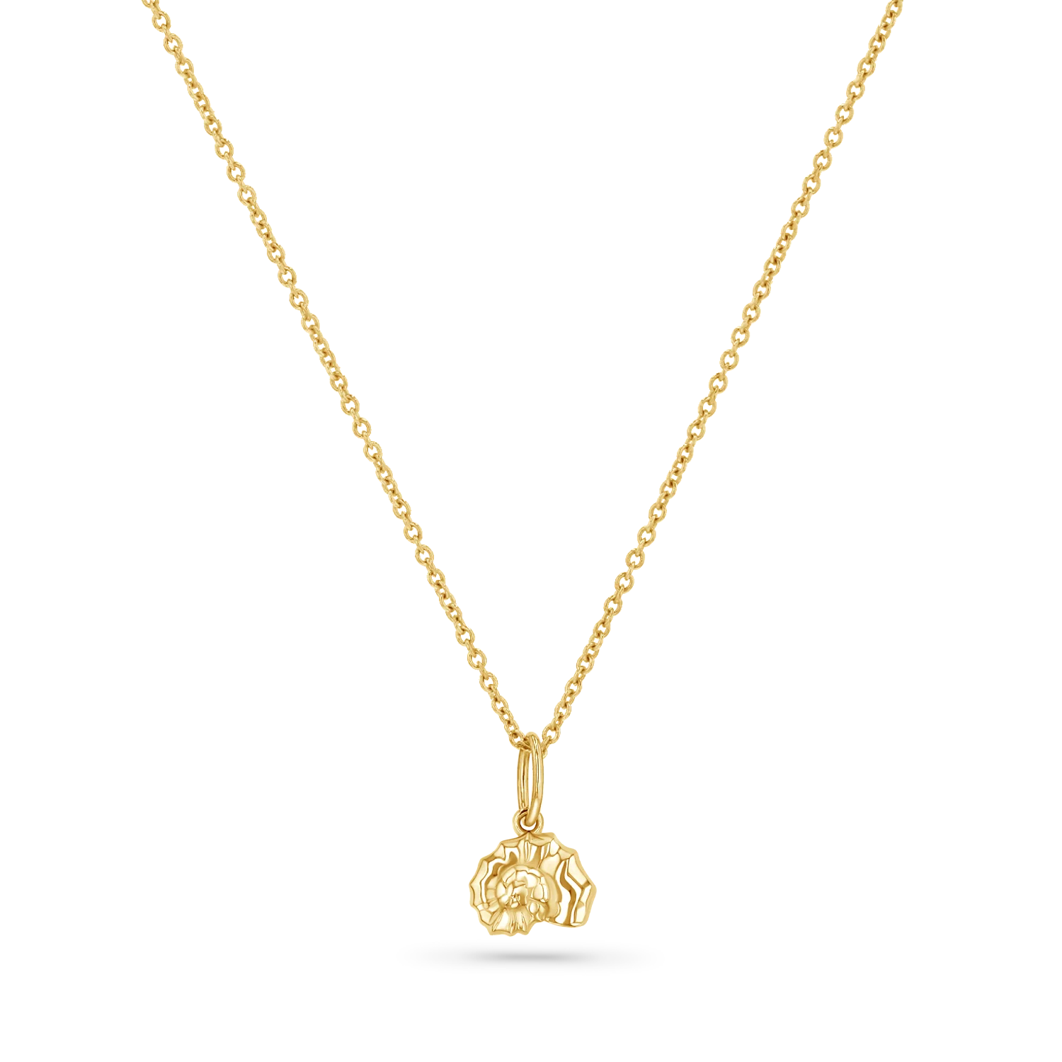 Soleil Nautilus Seashell Charm - Image 4