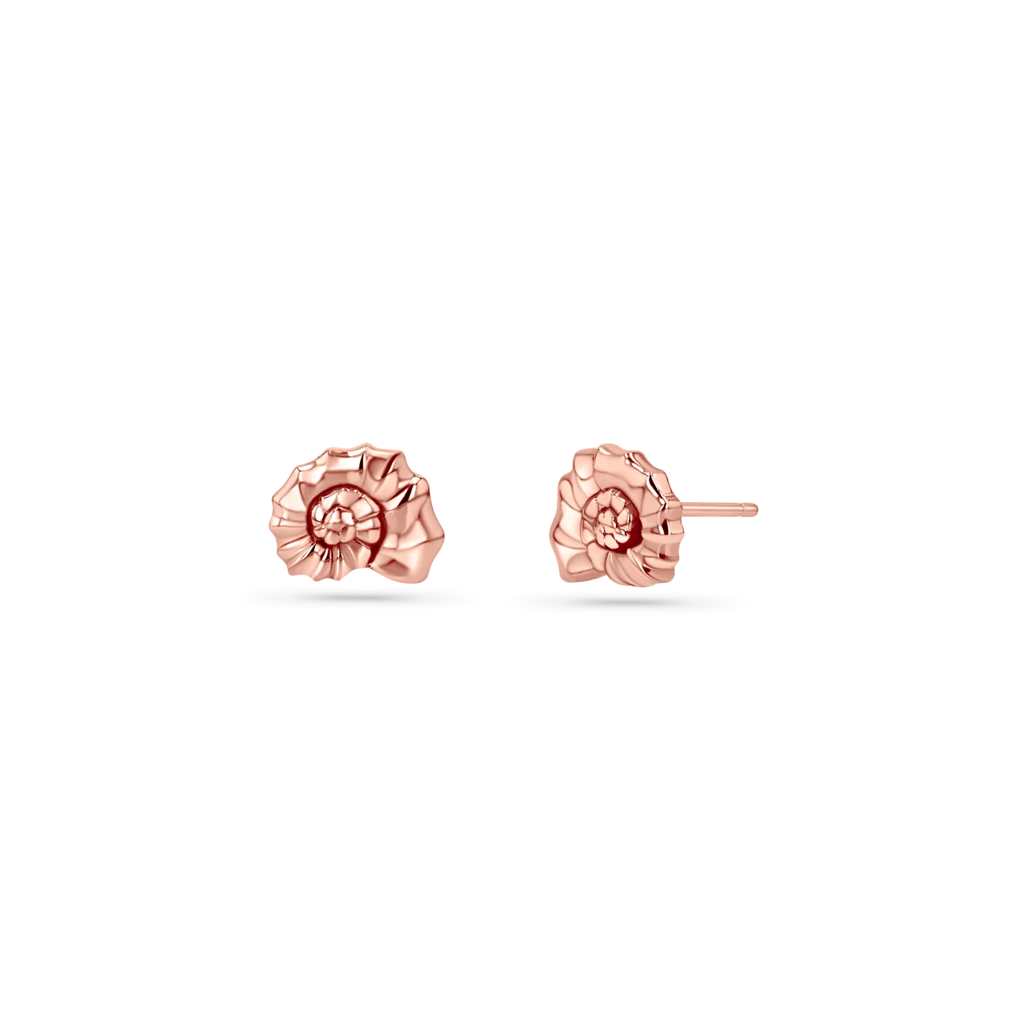 Soleil Nautilus Seashell Stud Earrings - Image 3