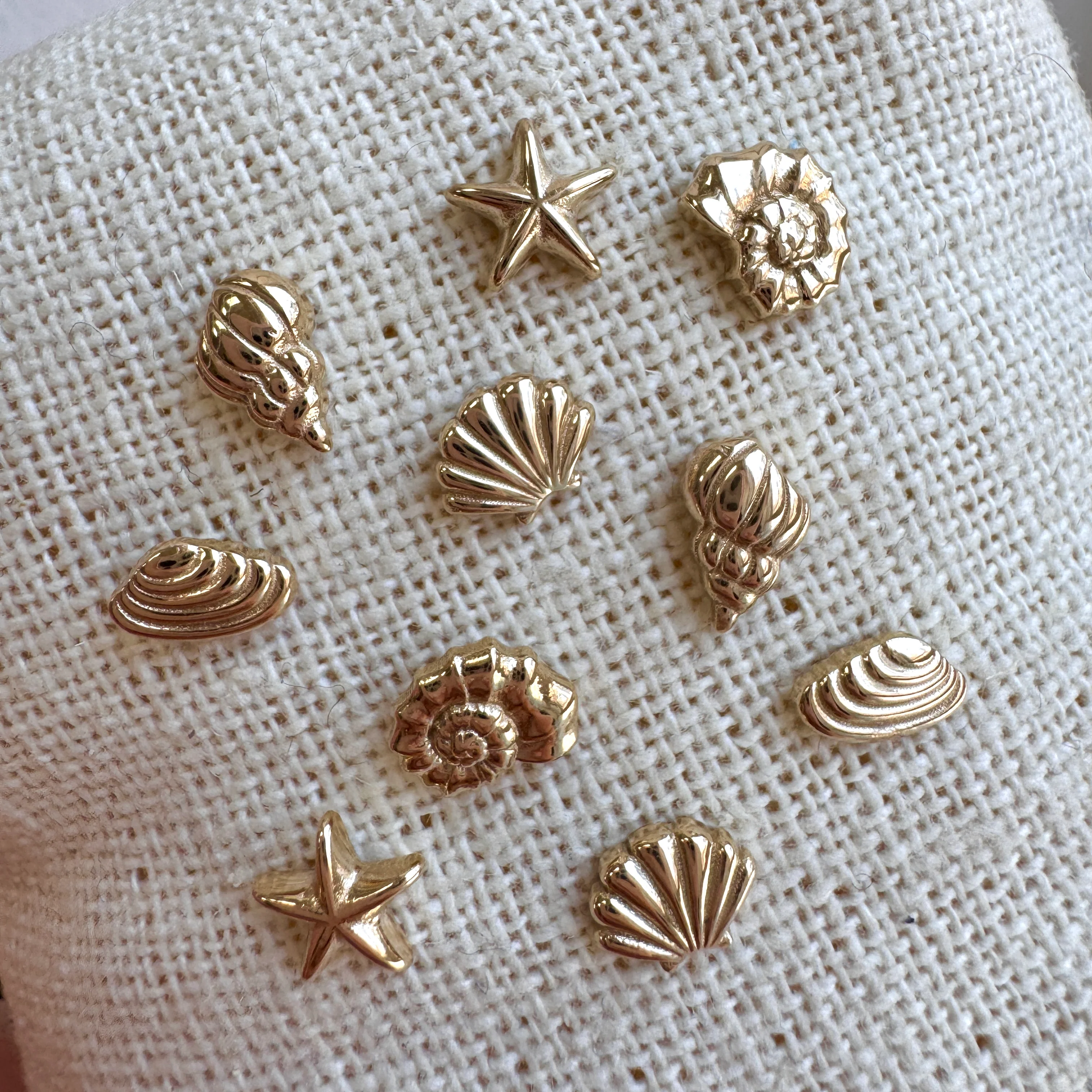 Soleil Nautilus Seashell Stud Earrings - Image 8