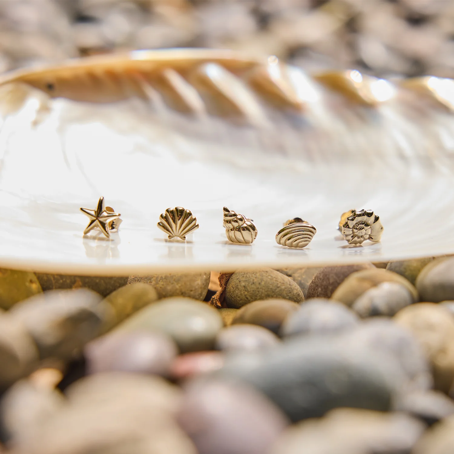 Soleil Venus Seashell Stud Earrings - Image 7