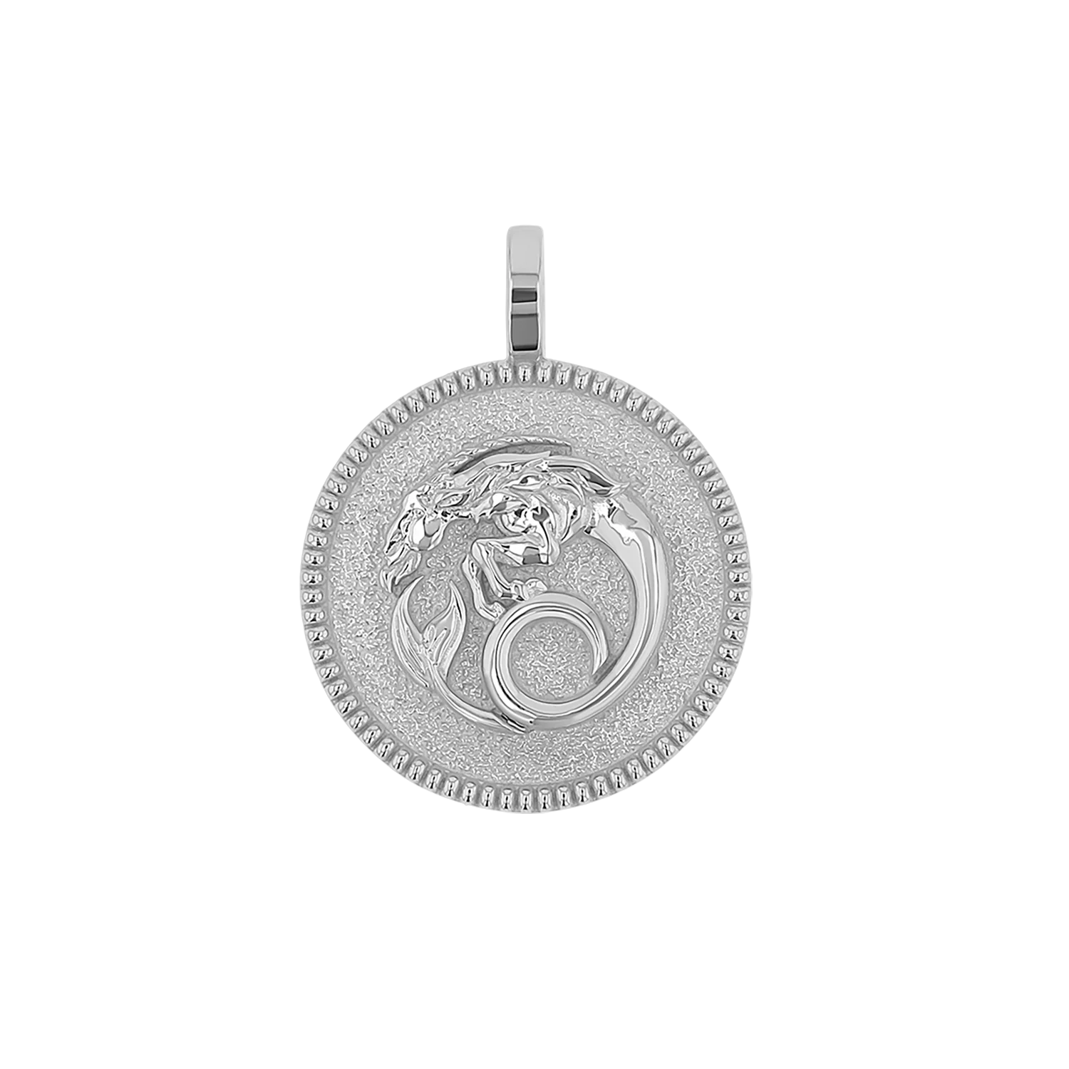 Zodiac Coin Medallion Charm - Image 18