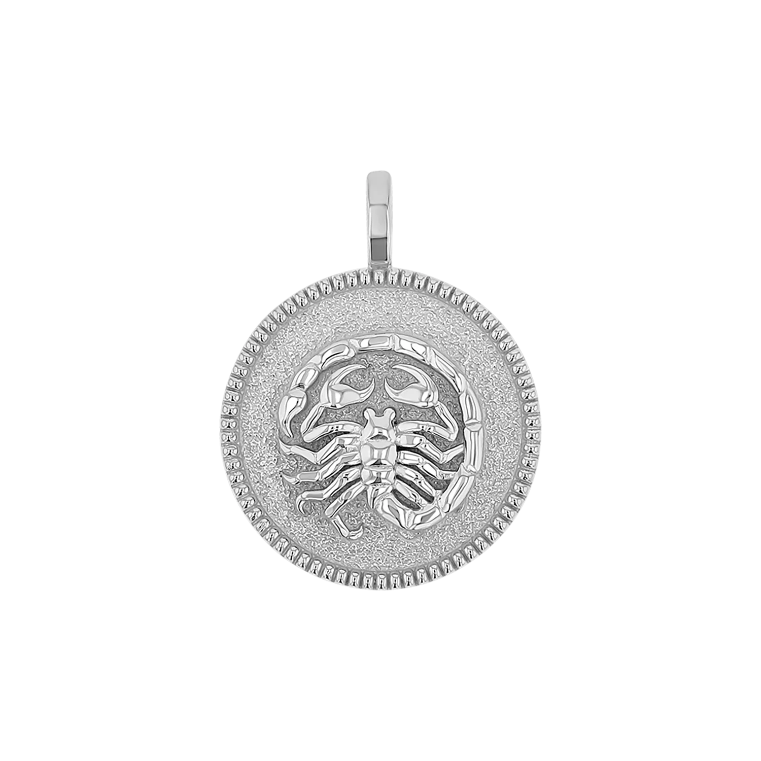 Zodiac Coin Medallion Charm - Image 23