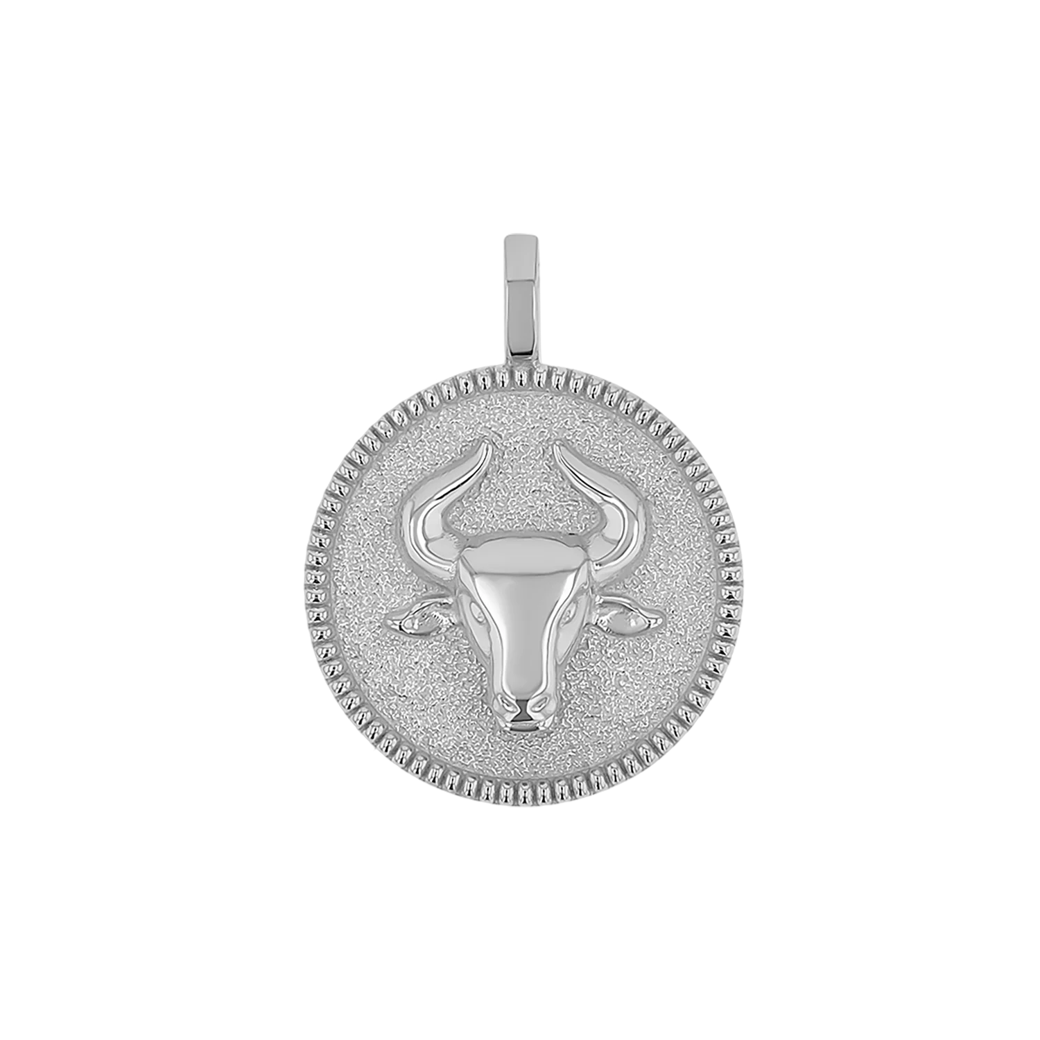 Zodiac Coin Medallion Charm - Image 24