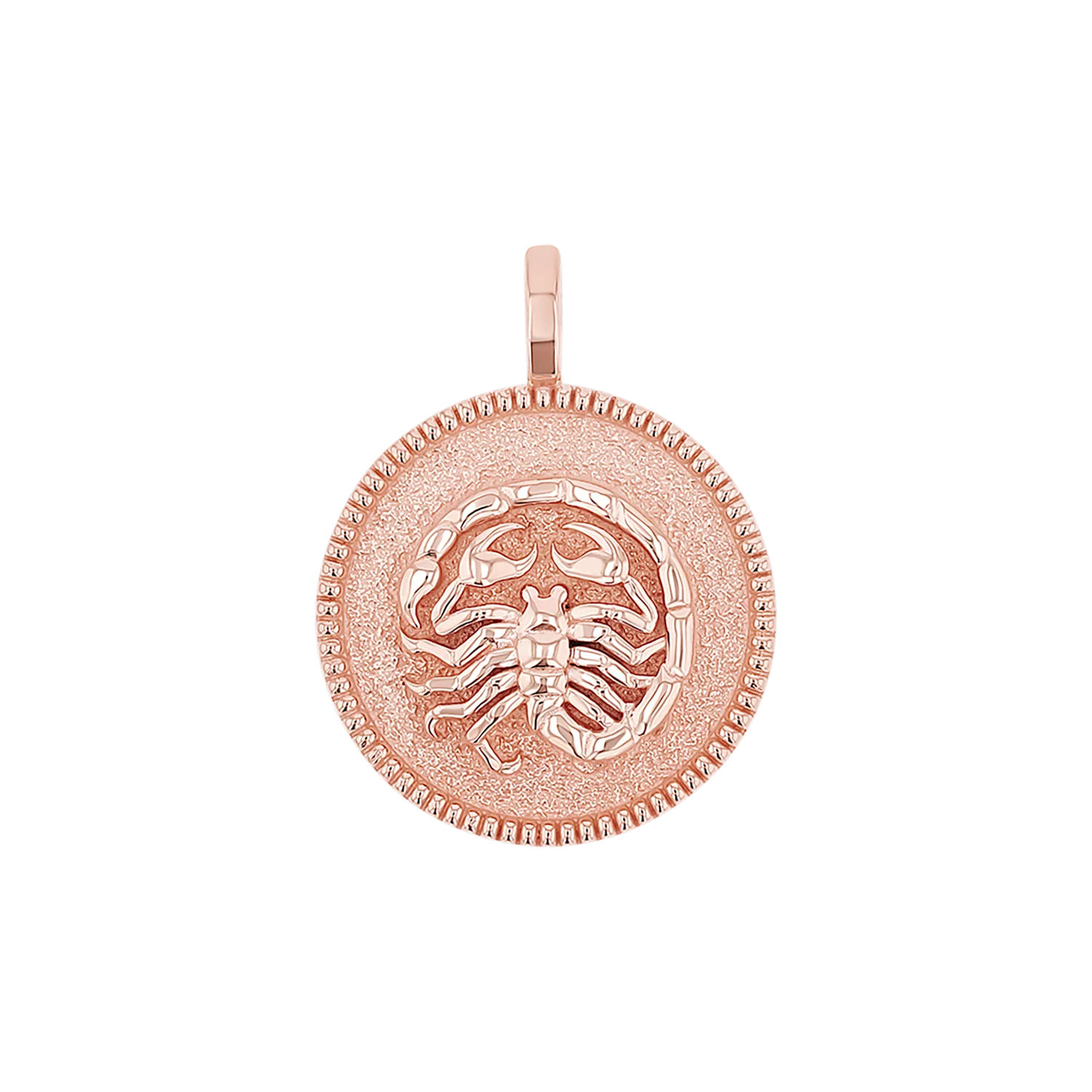 Zodiac Coin Medallion Charm - Image 34