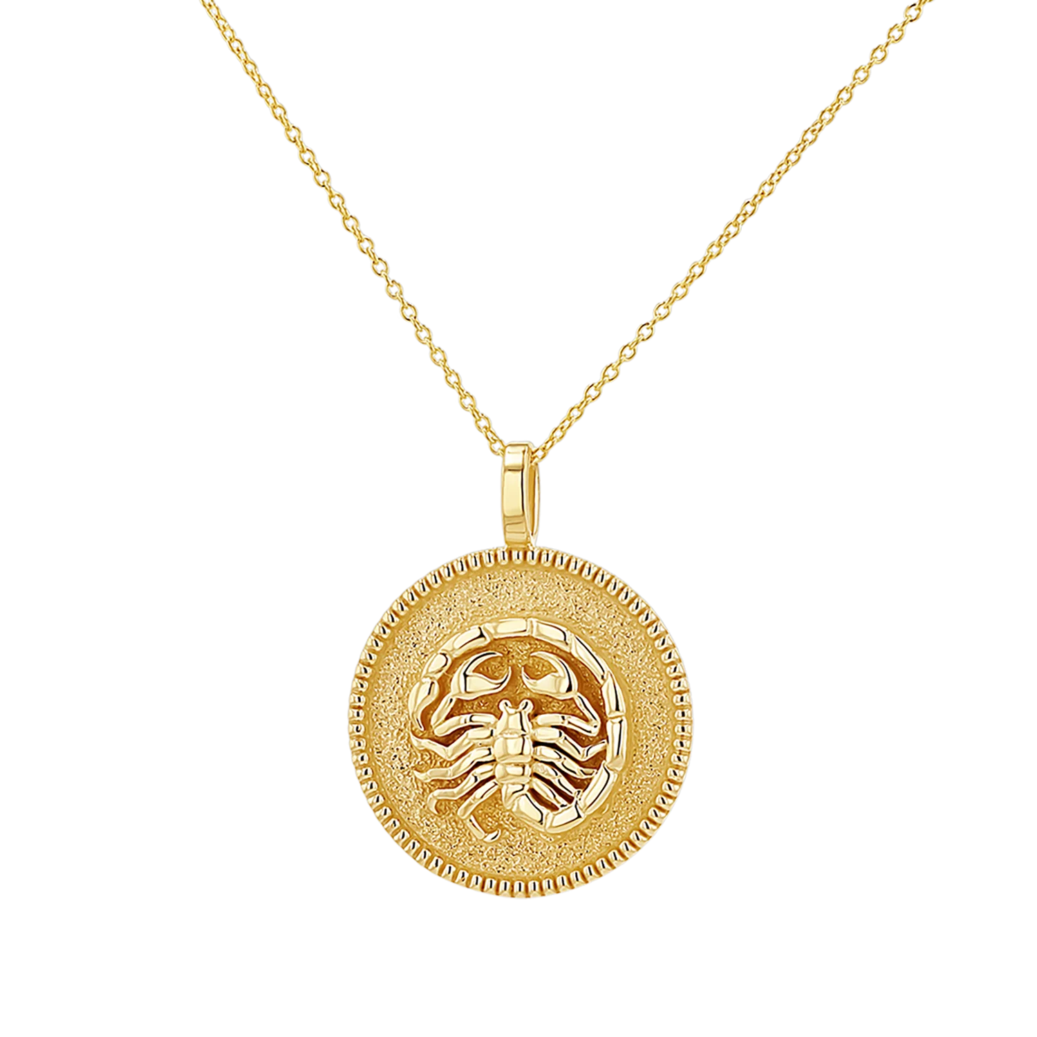 Zodiac Coin Medallion Necklace - Image 12