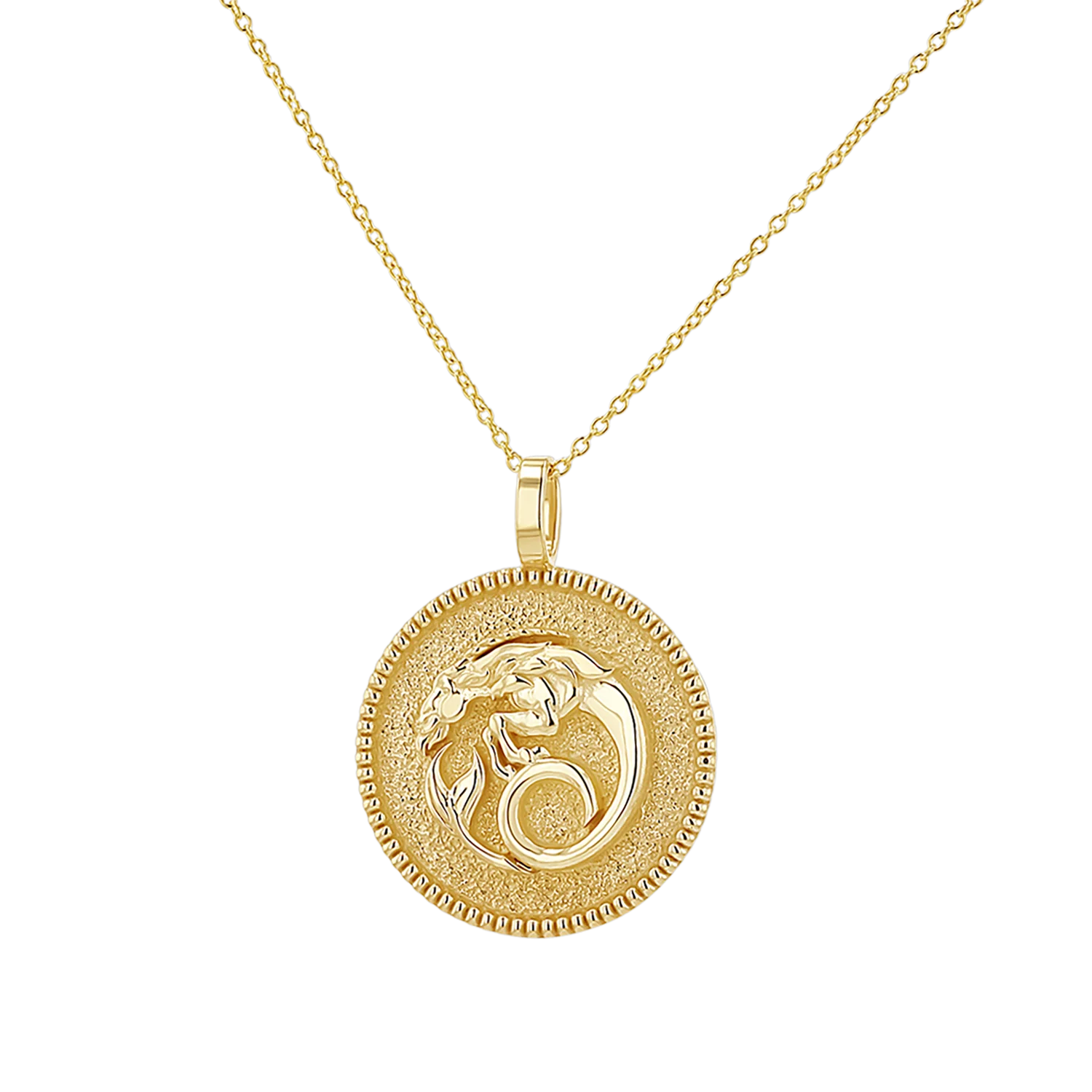 Zodiac Coin Medallion Necklace - Image 14