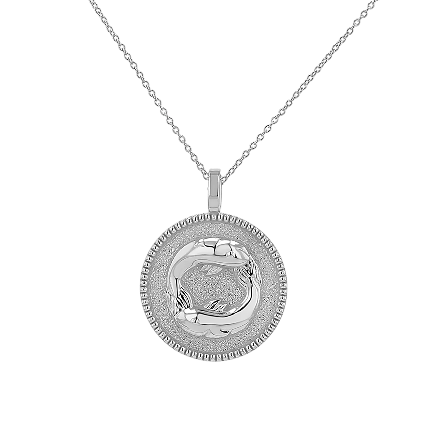 Zodiac Coin Medallion Necklace - Image 15