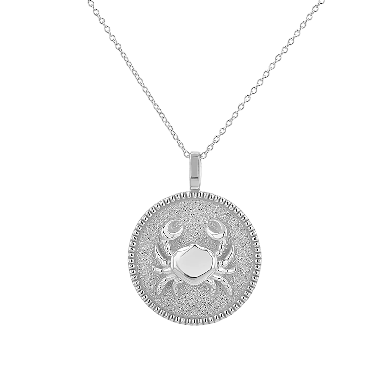 Zodiac Coin Medallion Necklace - Image 23