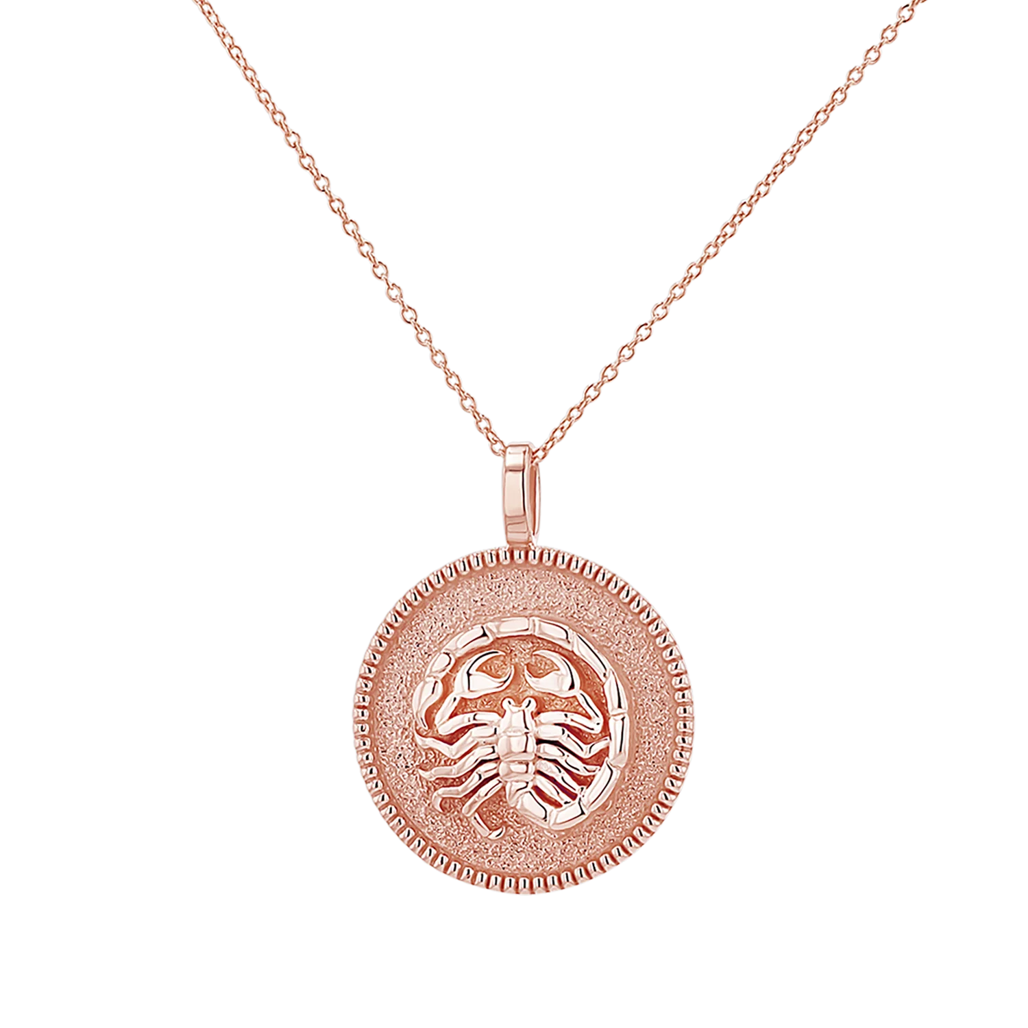 Zodiac Coin Medallion Necklace - Image 34