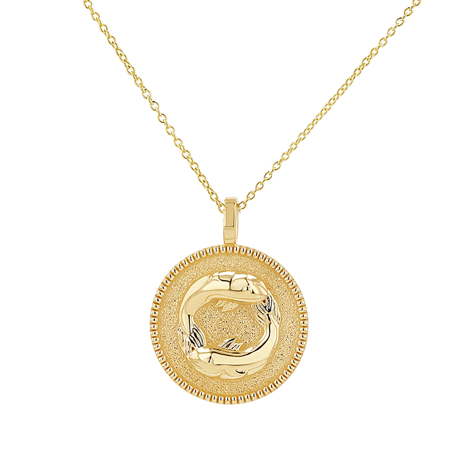 Zodiac Coin Medallion Necklace - Image 4